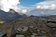 95 Dal Passo del Tonale seguo labile traccia con ometti per scendere al Passo di Mezzeno